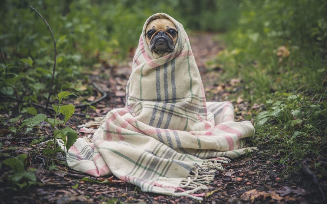 7 conseils pour ne pas tomber malade cet hiver